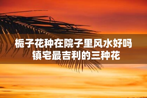栀子花种在院子里风水好吗  镇宅最吉利的三种花