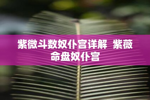 紫微斗数奴仆宫详解  紫薇命盘奴仆宫