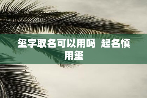 玺字取名可以用吗  起名慎用玺
