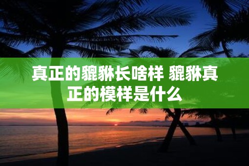 真正的貔貅长啥样 貔貅真正的模样是什么