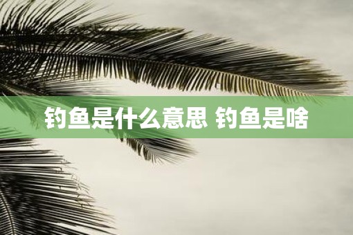 钓鱼是什么意思 钓鱼是啥