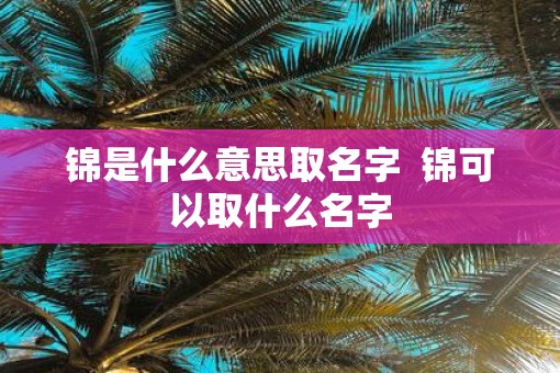 锦是什么意思取名字  锦可以取什么名字