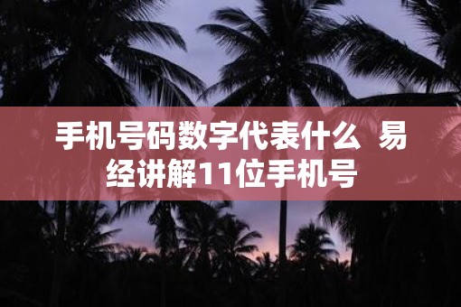 手机号码数字代表什么  易经讲解11位手机号