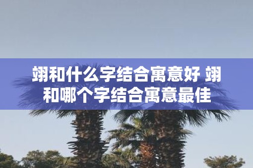 翊和什么字结合寓意好 翊和哪个字结合寓意最佳