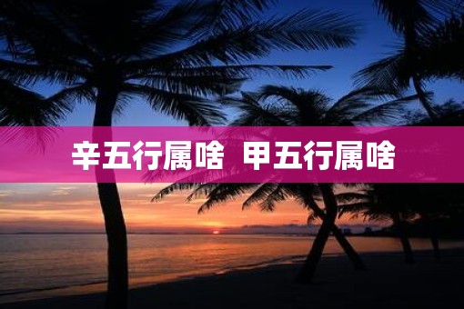 辛五行属啥  甲五行属啥