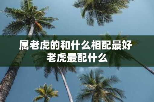 属老虎的和什么相配最好 老虎最配什么