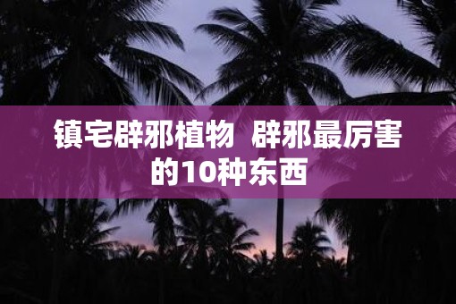 镇宅辟邪植物  辟邪最厉害的10种东西