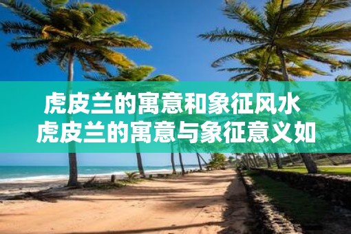 虎皮兰的寓意和象征风水 虎皮兰的寓意与象征意义如何