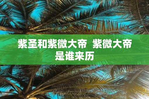 紫圣和紫微大帝  紫微大帝是谁来历