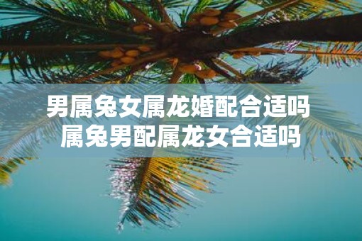 男属兔女属龙婚配合适吗 属兔男配属龙女合适吗