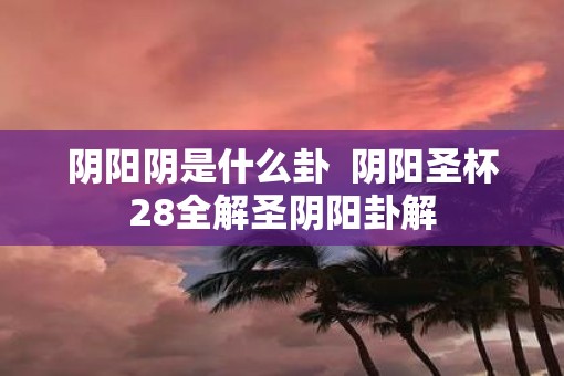 阴阳阴是什么卦  阴阳圣杯28全解圣阴阳卦解