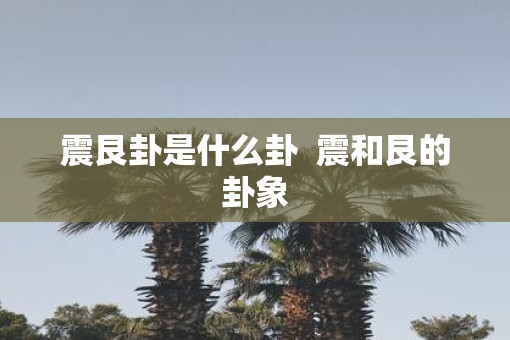 震艮卦是什么卦  震和艮的卦象
