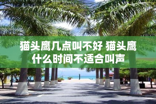 猫头鹰几点叫不好 猫头鹰什么时间不适合叫声