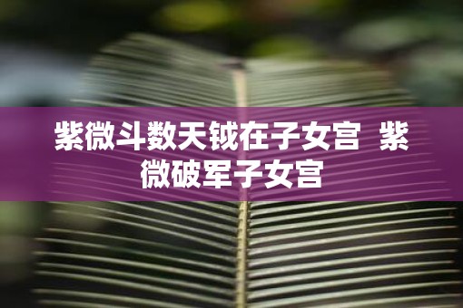 紫微斗数天钺在子女宫  紫微破军子女宫