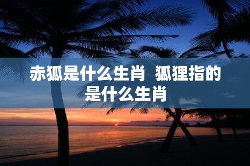 赤狐是什么生肖  狐狸指的是什么生肖