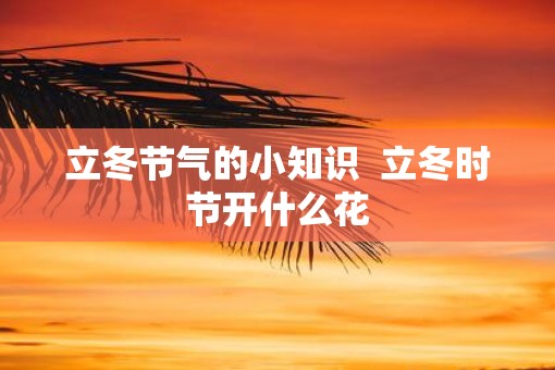 立冬节气的小知识  立冬时节开什么花