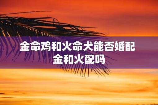 金命鸡和火命犬能否婚配 金和火配吗
