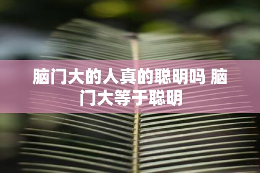 脑门大的人真的聪明吗 脑门大等于聪明