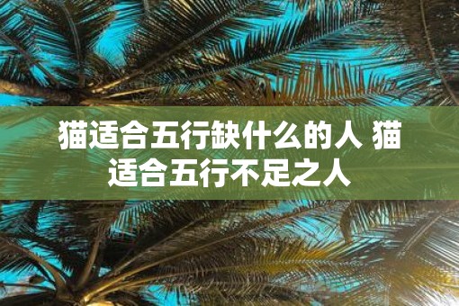 猫适合五行缺什么的人 猫适合五行不足之人