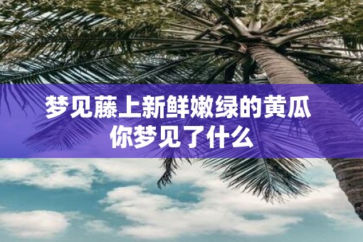 梦见藤上新鲜嫩绿的黄瓜 你梦见了什么