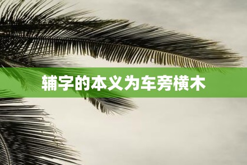 辅字的本义为车旁横木