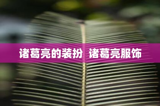 诸葛亮的装扮  诸葛亮服饰