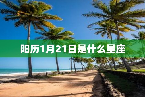 阳历1月21日是什么星座