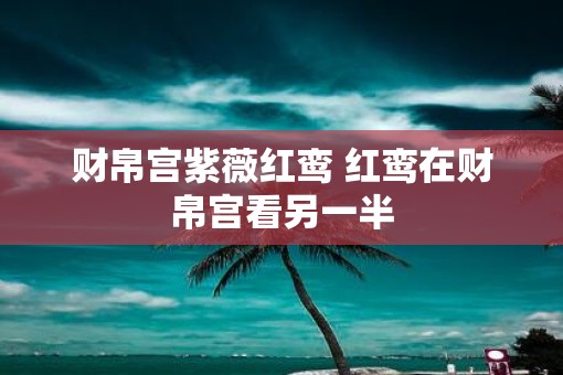 财帛宫紫薇红鸾 红鸾在财帛宫看另一半