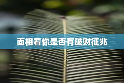 面相看你是否有破财征兆