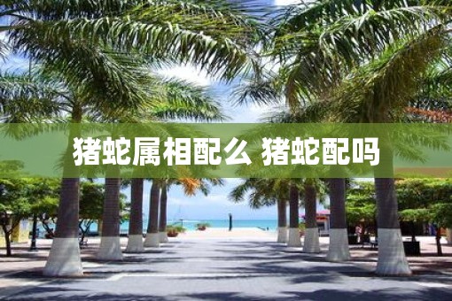 猪蛇属相配么 猪蛇配吗