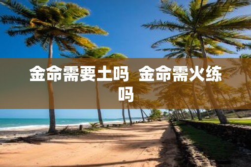 金命需要土吗  金命需火练吗