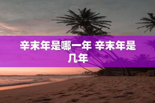 辛末年是哪一年 辛末年是几年