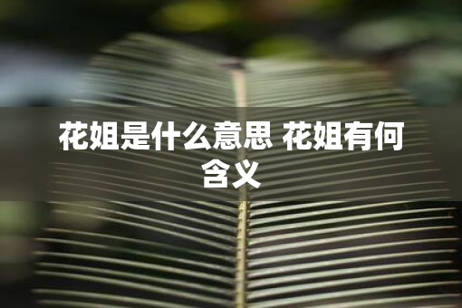 花姐是什么意思 花姐有何含义