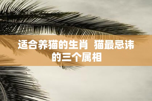 适合养猫的生肖  猫最忌讳的三个属相