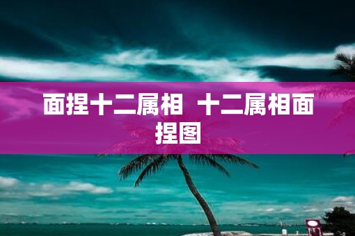 面捏十二属相  十二属相面捏图