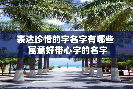 表达珍惜的字名字有哪些  寓意好带心字的名字