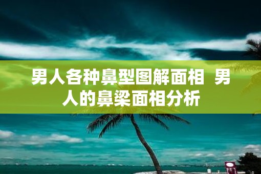男人各种鼻型图解面相  男人的鼻梁面相分析