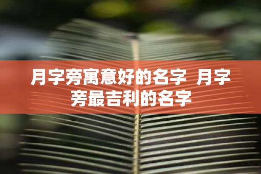 月字旁寓意好的名字  月字旁最吉利的名字