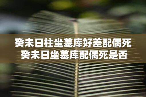 癸未日柱坐墓库好差配偶死 癸未日坐墓库配偶死是否关联