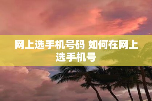 网上选手机号码 如何在网上选手机号