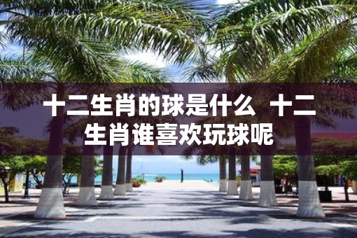 十二生肖的球是什么  十二生肖谁喜欢玩球呢