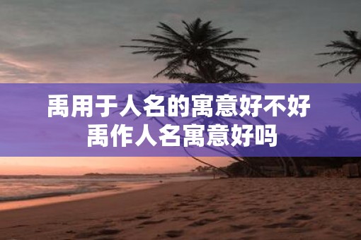 禹用于人名的寓意好不好 禹作人名寓意好吗
