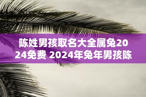 陈姓男孩取名大全属兔2025免费 2025年蛇年男孩陈姓起名指南