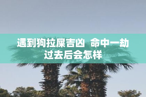遇到狗拉屎吉凶  命中一劫过去后会怎样