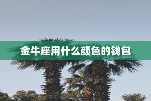 金牛座用什么颜色的钱包