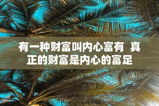 有一种财富叫内心富有 真正的财富是内心的富足 有一种财富叫内心富有 真正的财富是内心的富足