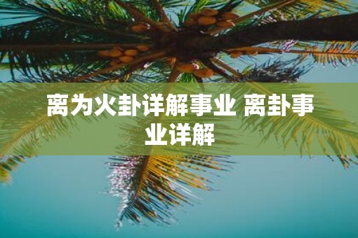 离为火卦详解事业 离卦事业详解