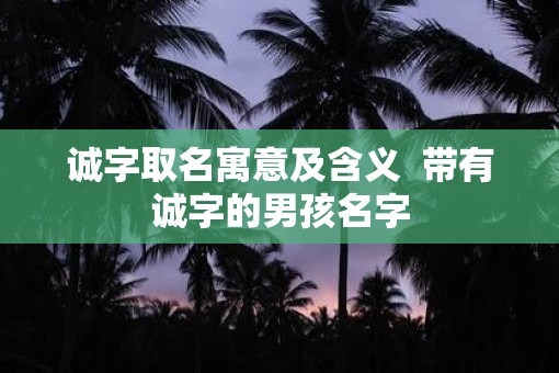 诚字取名寓意及含义  带有诚字的男孩名字