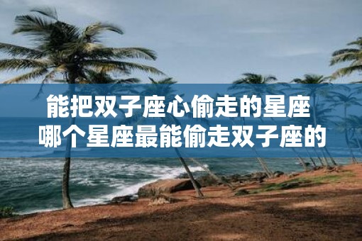 能把双子座心偷走的星座 哪个星座最能偷走双子座的心