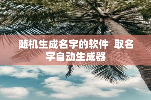 随机生成名字的软件  取名字自动生成器